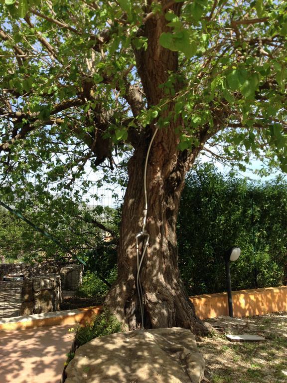 Lovely Cottage Castellammare del Golfo Bagian luar foto