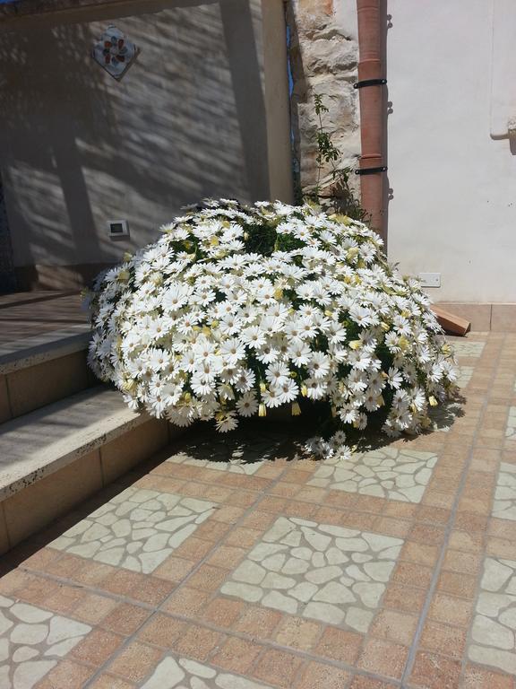 Lovely Cottage Castellammare del Golfo Bagian luar foto